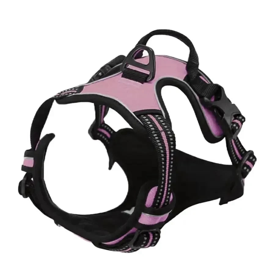 Leather Dog Collar Set