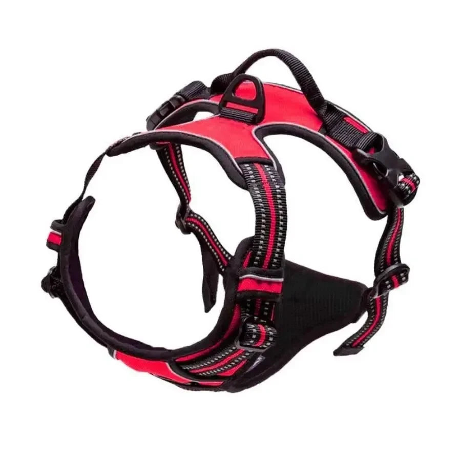 Leather Dog Collar Set